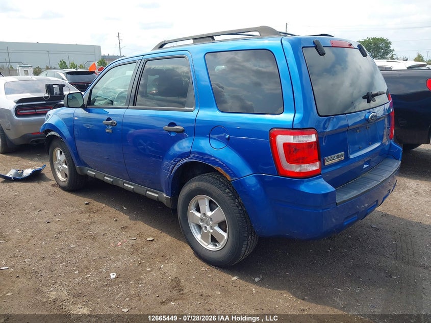 Vin: 1fmcu0d75bka35077, lot: 3068106, ford escape xlt 20113