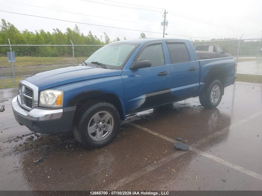 2005 Dodge Dakota, Удар сзади, IAAI, VIN 1D7HW48K75S261321 — фото 2