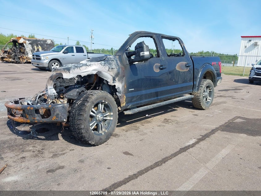 2016 Ford F-150, Повністю згоріле, IAAI, VIN 1FTEW1EG4GFA91989 — фото 2