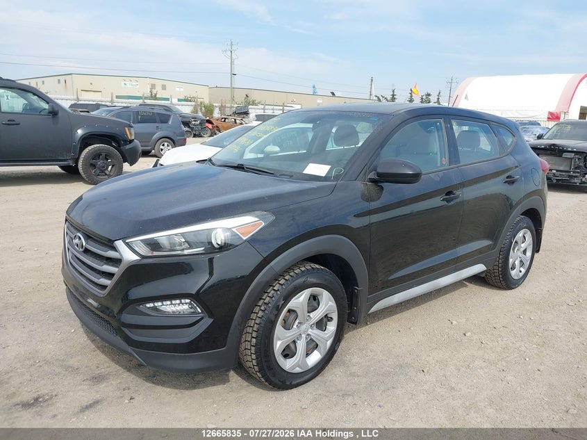 2017 Hyundai Tucson, Удар спереду, IAAI, VIN KM8J2CA45HU446761 — фото 2