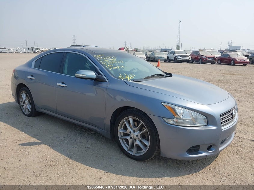 Vin: 1n4aa5ap4bc838727, lot: 3068535, nissan maxima s/sv 2011 img_1