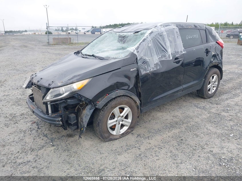 2015 Kia Sportage, Перекидання, IAAI, VIN KNDPBCAC7F7789234 — фото 2