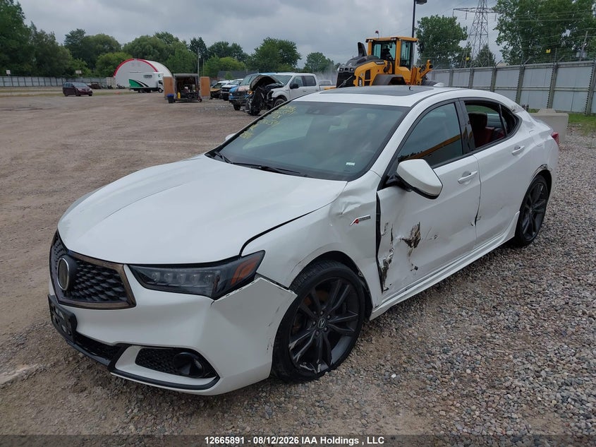 2020 Acura Tlx Technology/A-Spec, Левый бок, IAAI, VIN 19UUB3F65LA802391 — фото 2
