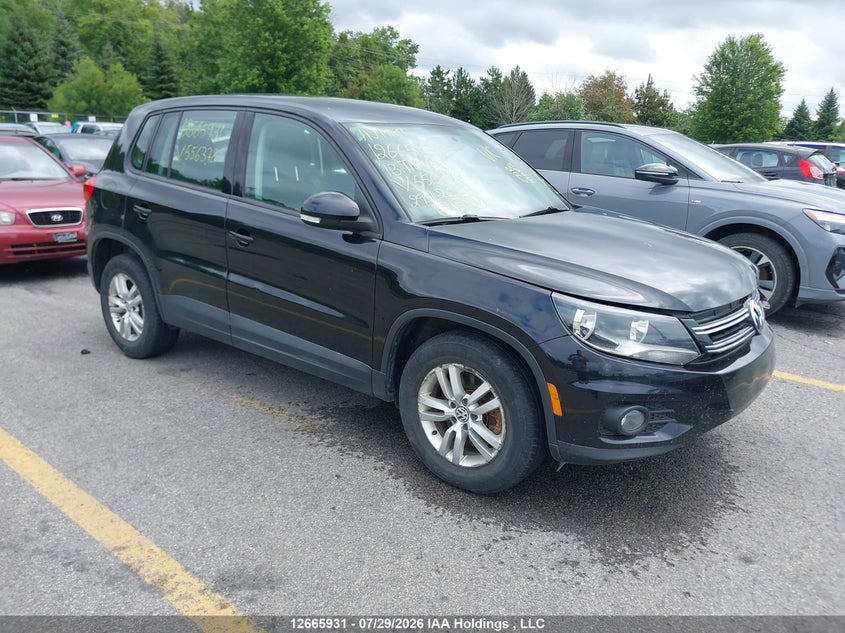 Vin: wvgjv7ax9dw556378, lot: 3068620, volkswagen tiguan 2013 img_1