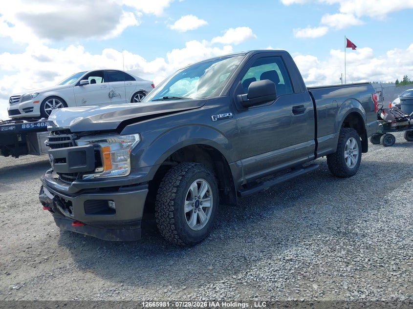 2018 Ford F-150, Front, IAAI, VIN 1FTMF1EP7JKD75322 — photo 2