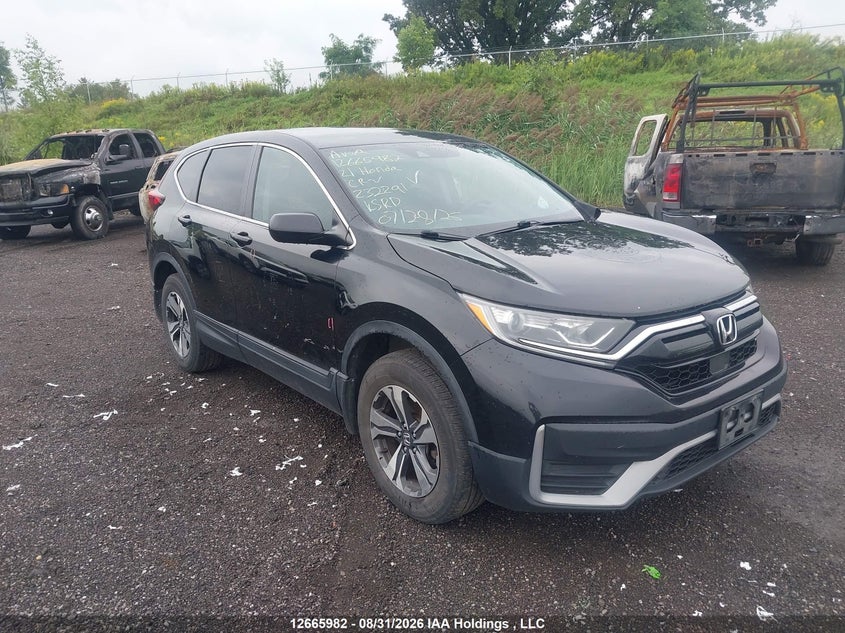 Vin: 2hkrw2h20mh232291, lot: 3068673, honda cr-v lx 2021 img_1