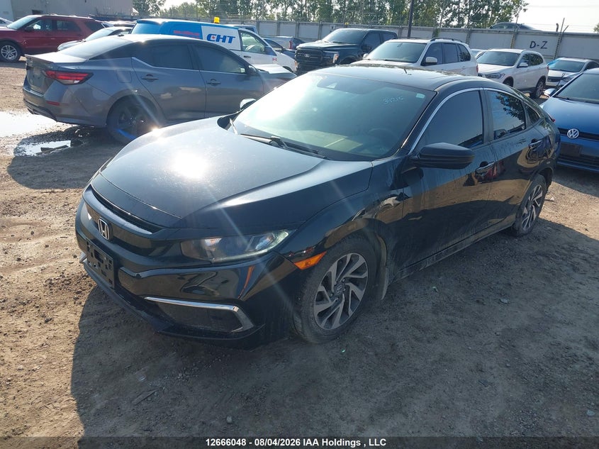 2019 Honda Civic, Rear, IAAI, VIN 2HGFC2F77KH013555 — photo 2