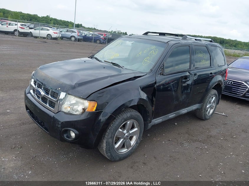 2010 Ford Escape, Left Side, IAAI, VIN 1FMCU9EG9AKA40249 — photo 2