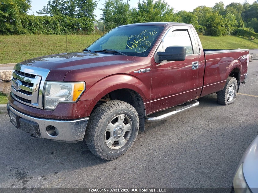 2010 Ford F-150, Удар сзади, IAAI, VIN 1FTNF1E85AKE56039 — фото 2