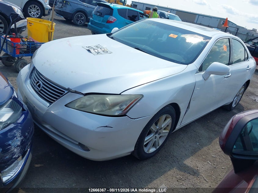 2009 Lexus ES, Biohazard, IAAI, VIN JTHBJ46G992289509 — photo 2