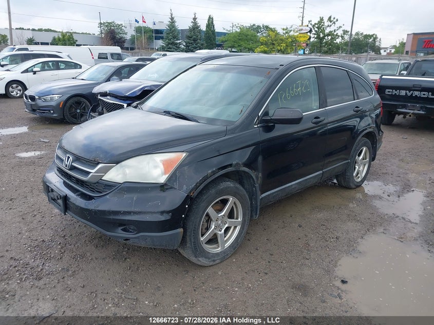 Vin: 5j6re3h30al800977, lot: 3069479, honda cr-v 20102