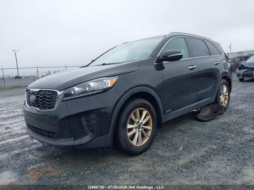 2019 Kia Sorento, Rear, IAAI, VIN 5XYPGDA37KG469299 — photo 2