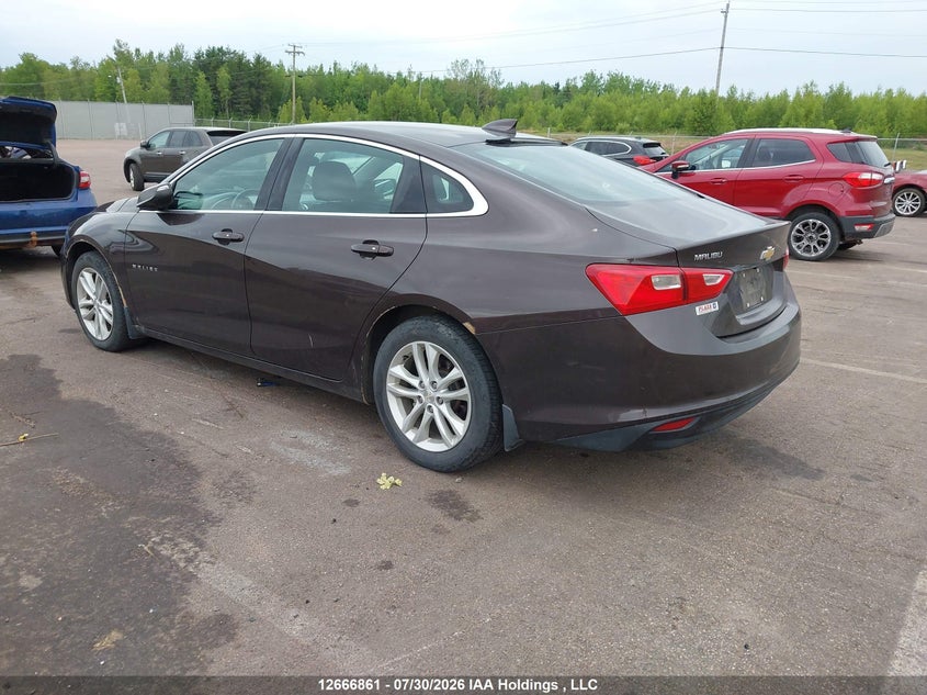 Vin: 1g1ze5st5gf349085, lot: 3069619, chevrolet malibu 1lt 20163