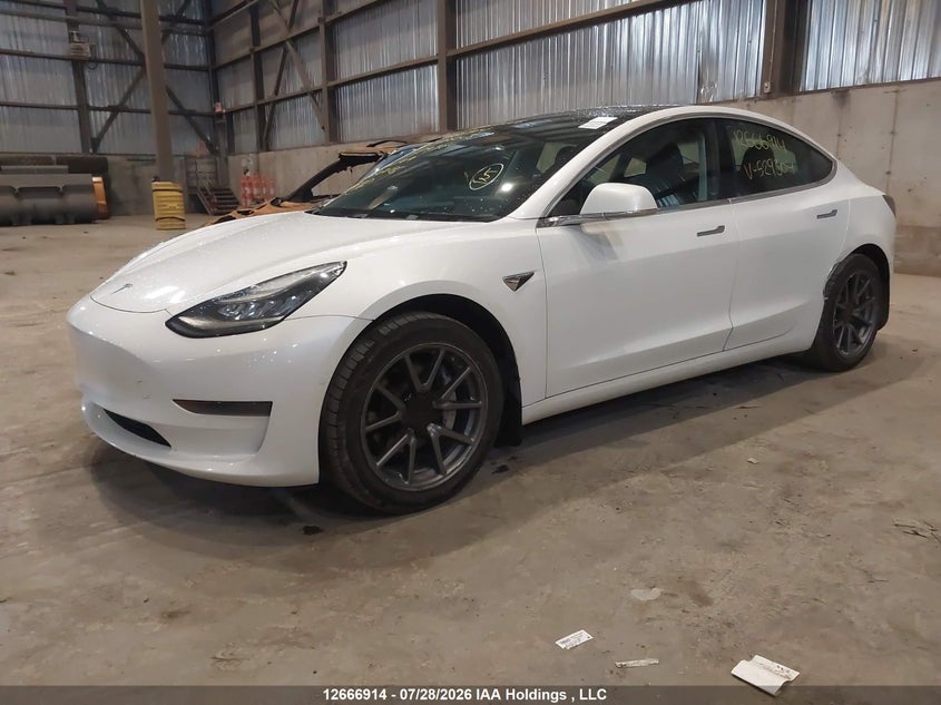 2020 Tesla Model 3, Левый зад, IAAI, VIN 5YJ3E1EA6LF529304 — фото 2