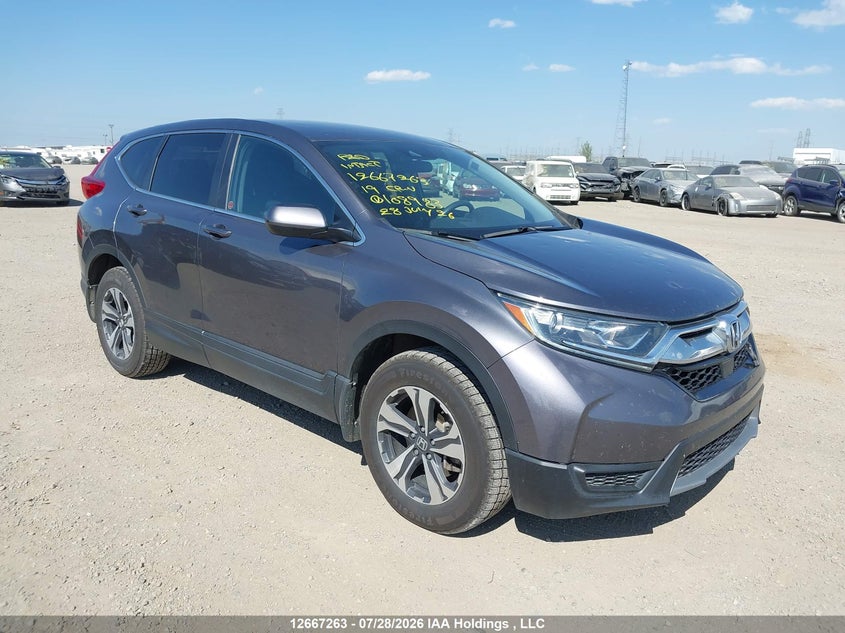 Vin: 2hkrw2h25kh108983, lot: 3070026, honda cr-v lx 2019 img_1