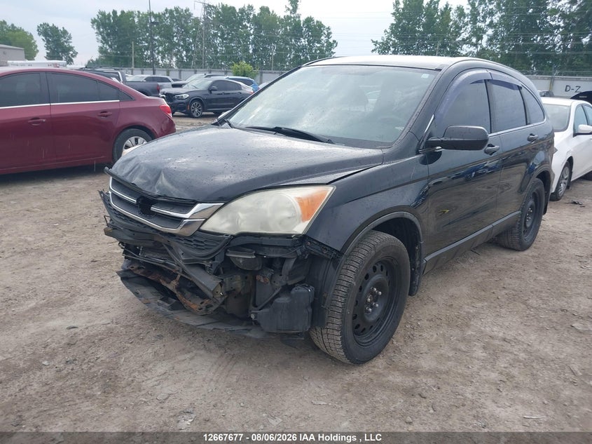 2011 Honda CR-V, Біо/хімія, IAAI, VIN 5J6RE4H34BL817465 — фото 2