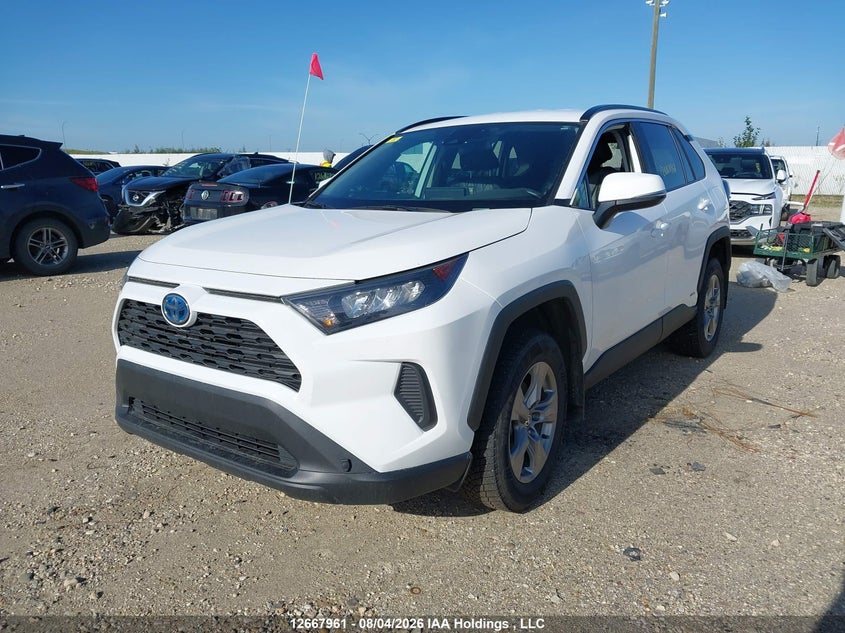 2024 Toyota RAV 4, Затоплення, IAAI, VIN 2T3BWRFV7RW236930 — фото 2