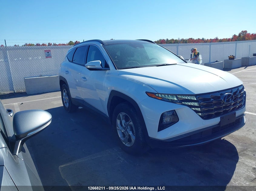 2024 Hyundai Tucson, Затопление, IAAI, VIN KM8JCCDE1RU333179