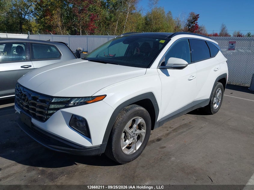 Vin: km8jccde1ru333179, lot: 3071044, hyundai tucson 20242