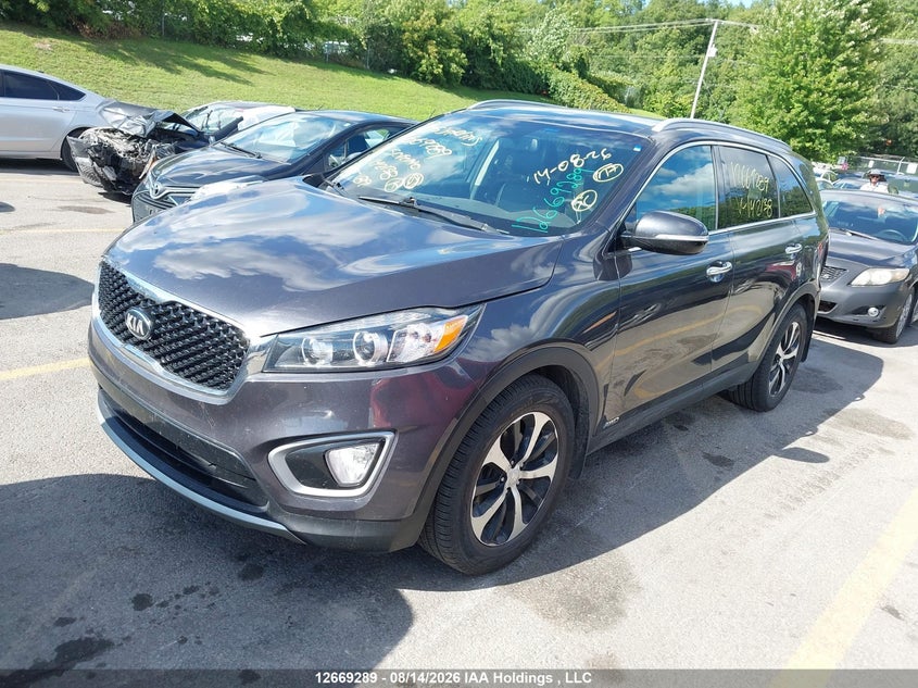 2016 Kia Sorento, Левый зад, IAAI, VIN 5XYPHDA56GG142138 — фото 2