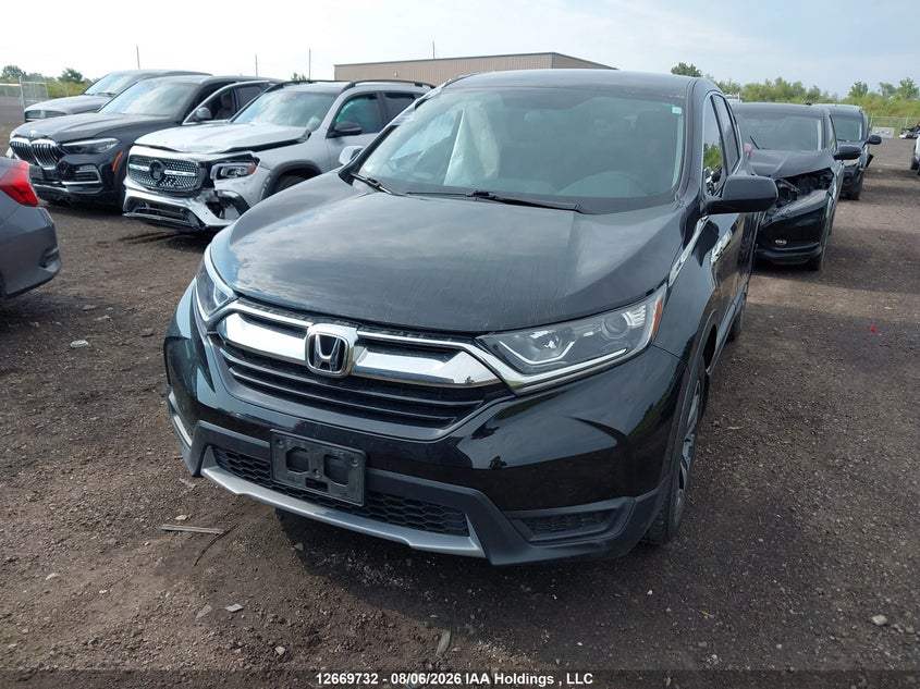 Vin: 2hkrw1h34kh003645, lot: 3072646, honda cr-v lx 20192