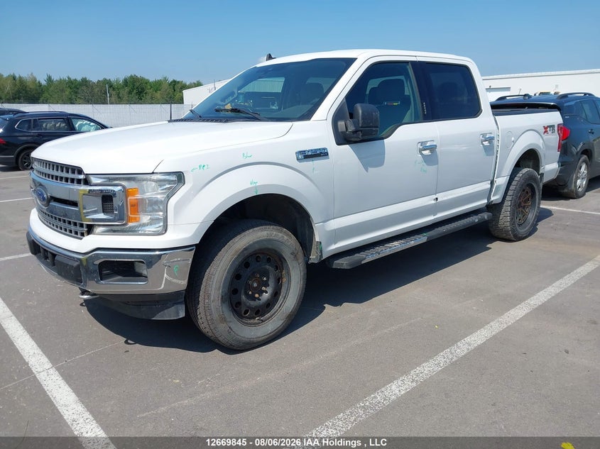 2019 Ford F-150, Левый бок, IAAI, VIN 1FTEW1EPXKFA24404 — фото 2