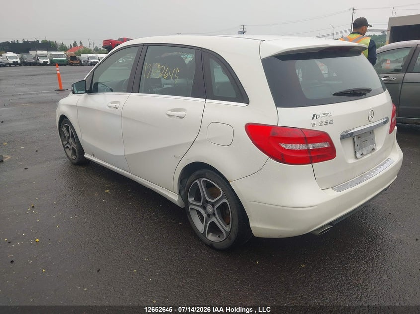 Vin: wddmh4eb7dj166825, lot: 3072809, mercedes-benz b 250 sports tourer 20133