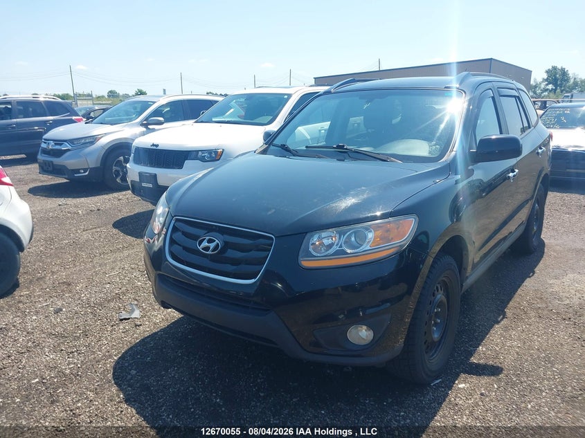2010 Hyundai Santa Fe, Благодійність, IAAI, VIN 5NMSGDAGXAH396706 — фото 2