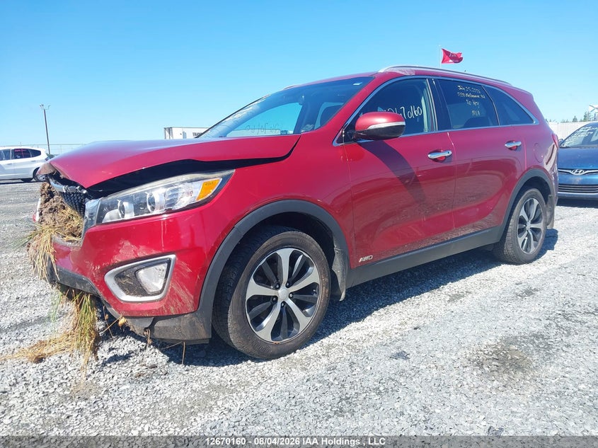 2016 Kia Sorento, Удар спереди, IAAI, VIN 5XYPHDA56GG176208 — фото 2