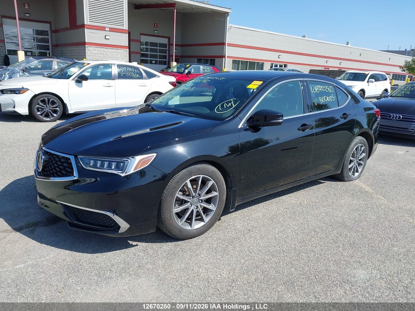 Vin: 19uub1f39ka800605, lot: 3073294, acura tlx 20192
