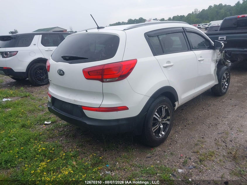 Vin: kndpbcac9f7783788, lot: 3073324, kia sportage lx 20154