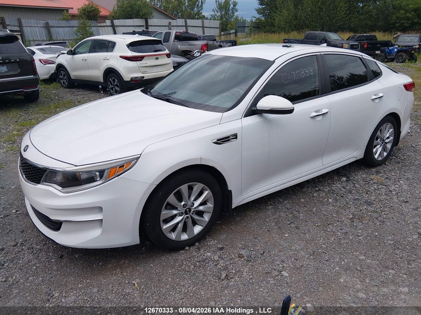 2016 Kia Optima, Rear, IAAI, VIN 5XXGT4L36GG053815 — photo 2