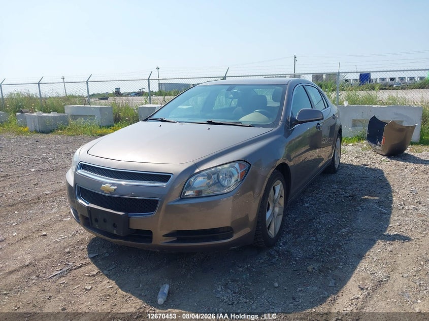 2012 Chevrolet Malibu, Удар сзади, IAAI, VIN 1G1ZB5EU8CF133562 — фото 2