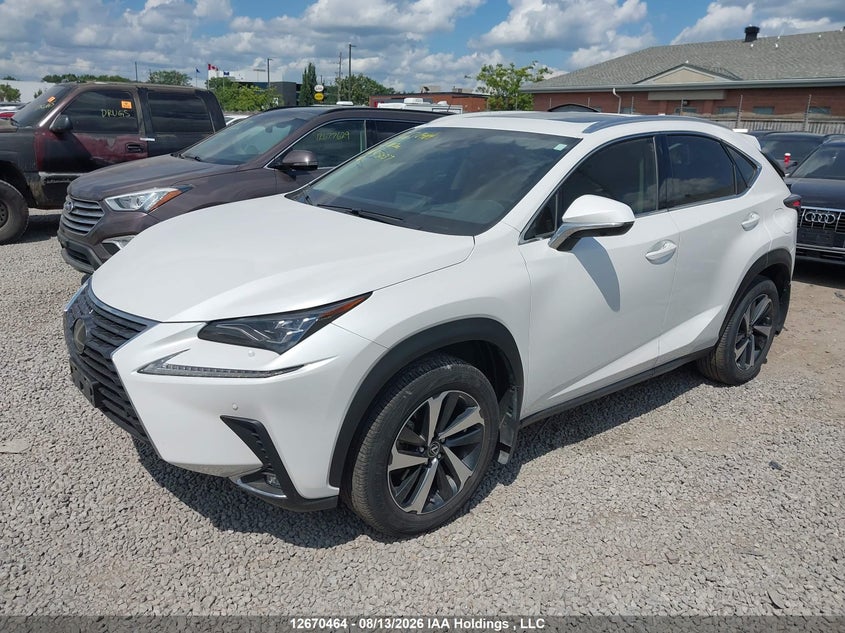 2021 Lexus NX, Rear, IAAI, VIN JTJHARDZXM5025037 — photo 2