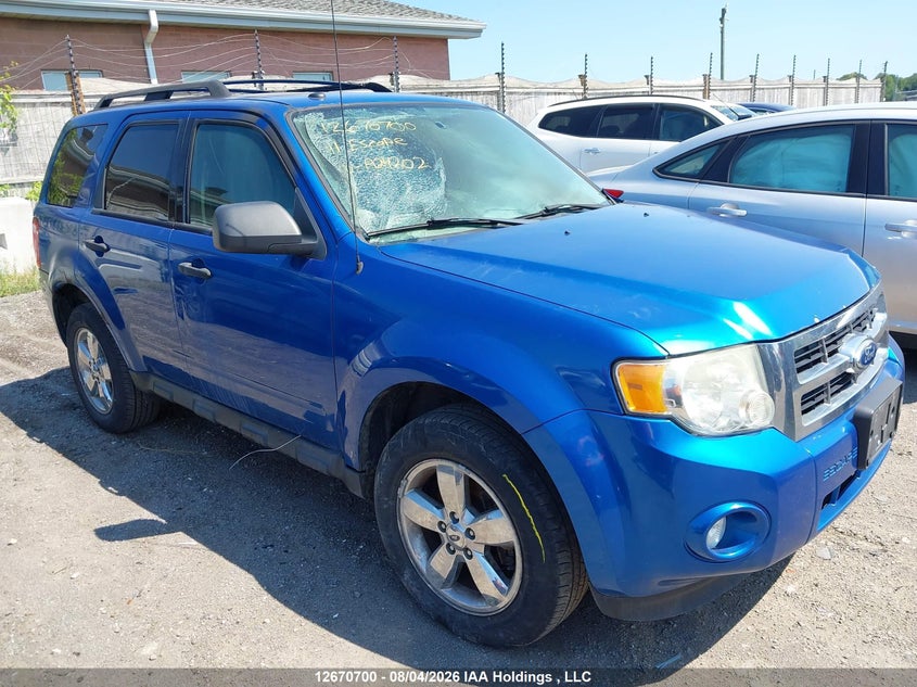 Vin: 1fmcu9dg9bka24202, lot: 3073748, ford escape xlt 2011 img_1