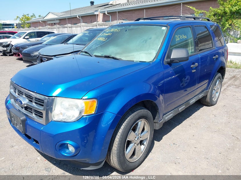 Vin: 1fmcu9dg9bka24202, lot: 3073748, ford escape xlt 20112