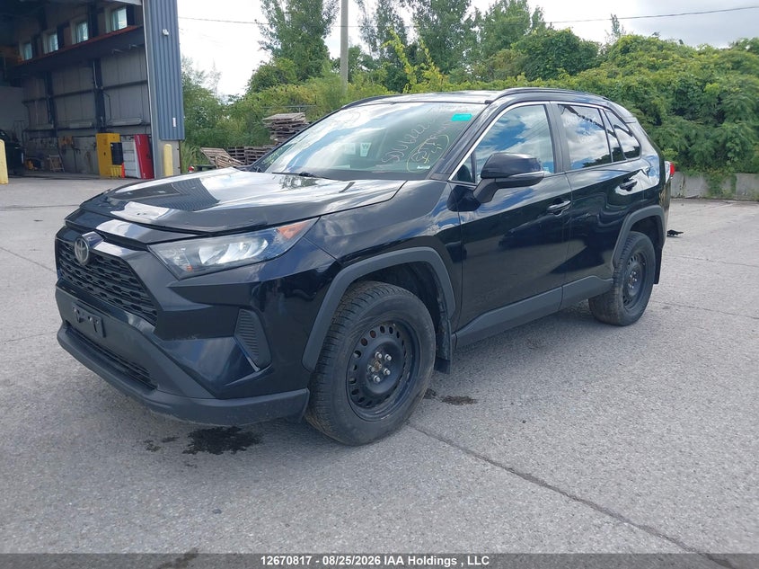 Vin: 2t3b1rfv8kw013283, lot: 3073901, toyota rav4 le 20192