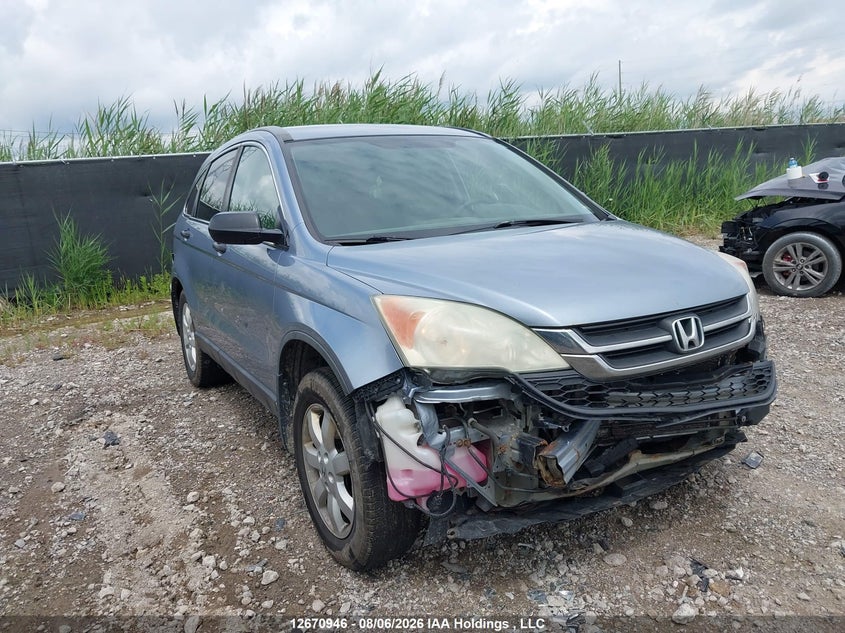 Vin: 5j6re4h3xal800958, lot: 3074072, honda cr-v lx 2010 img_1