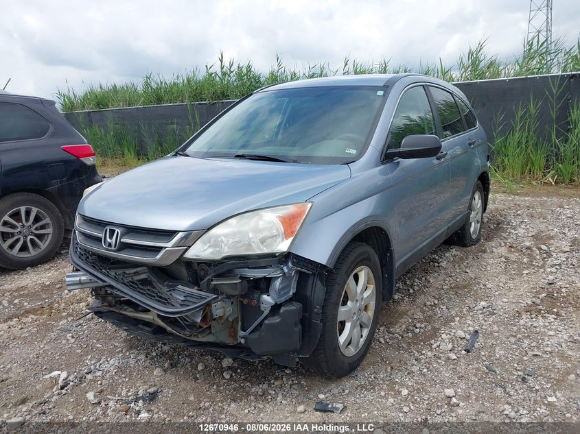 Vin: 5j6re4h3xal800958, lot: 3074072, honda cr-v lx 20102