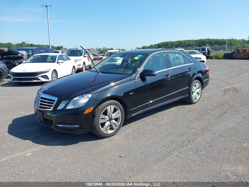 2012 Mercedes-Benz E-klasse, Rear, IAAI, VIN WDDHF82B9CA633728 — photo 2