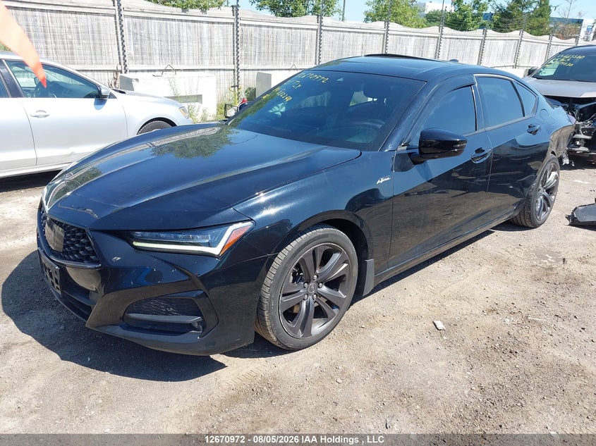 Vin: 19uub6f50ma802244, lot: 3074099, acura tlx tech a 20212