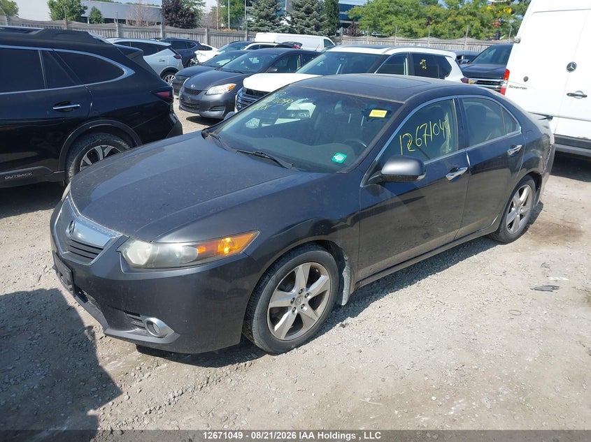 2012 Acura TSX, Удар сзади, IAAI, VIN JH4CU2F67CC801664 — фото 2