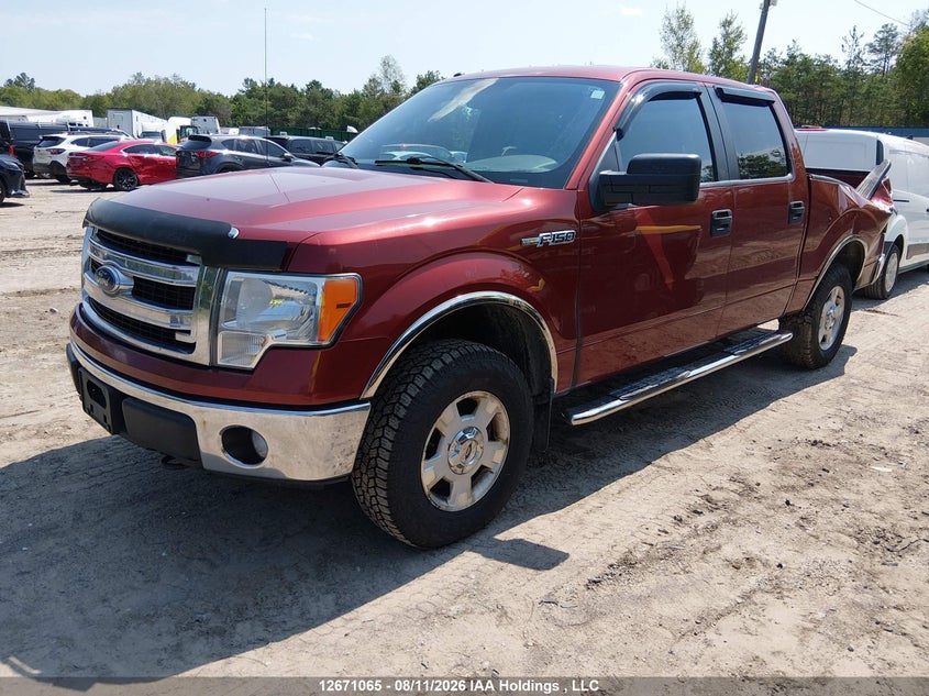 2014 Ford F-150, Rear, IAAI, VIN 1FTFW1EF5EKE75280 — photo 2