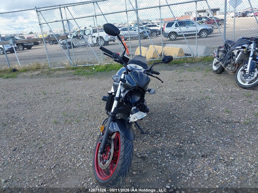 2024 SUZUKI SV MOTO 2