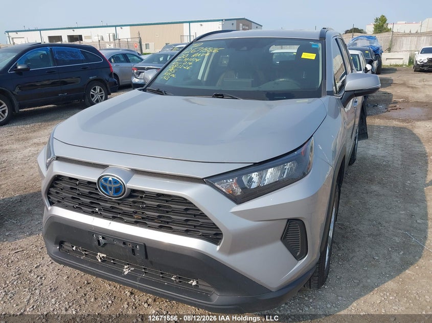 2020 Toyota RAV 4, Rear, IAAI, VIN 2T3BWRFV8LW101074 — photo 2