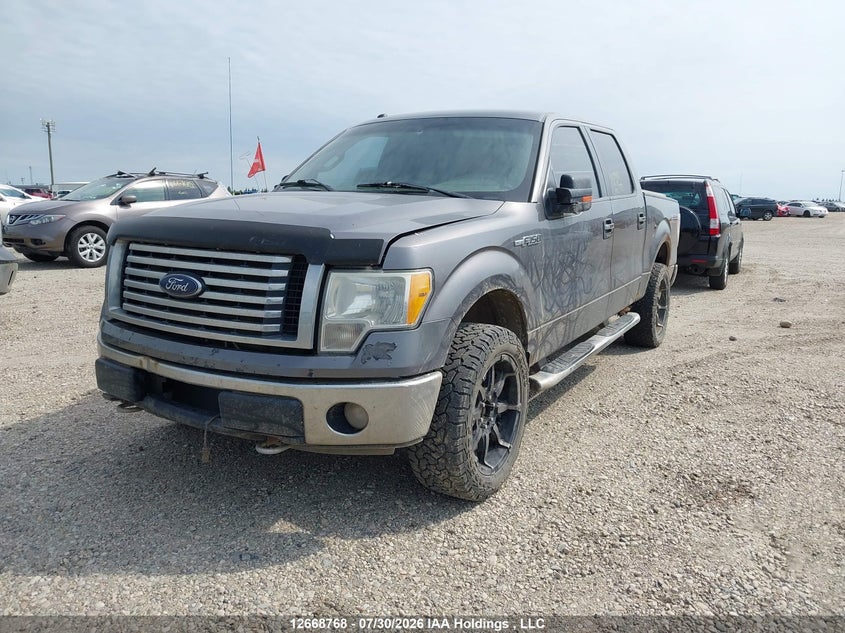 2010 Ford F-150, Удар сзади, IAAI, VIN 1FTFW1EV2AFD05954 — фото 2