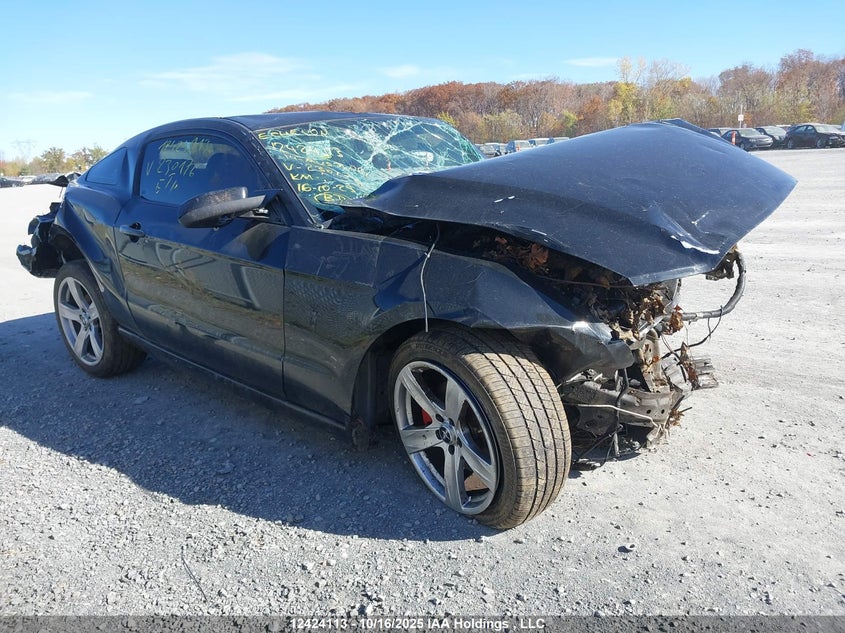 Vin: 1zvbp8am7e5230176, lot: 3075381, ford mustang 2014 img_1
