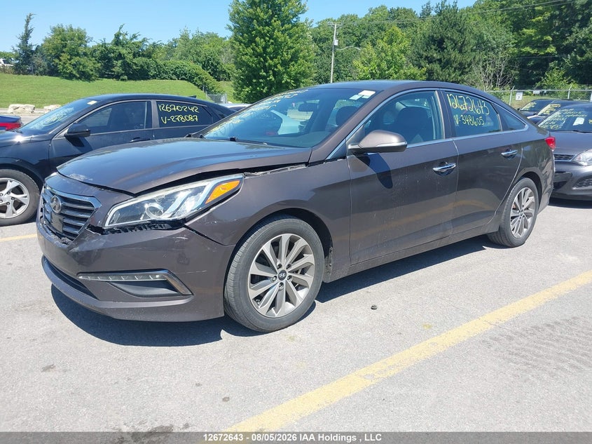Vin: 5npe24af8gh348605, lot: 3075919, hyundai sonata gls special edition 20162