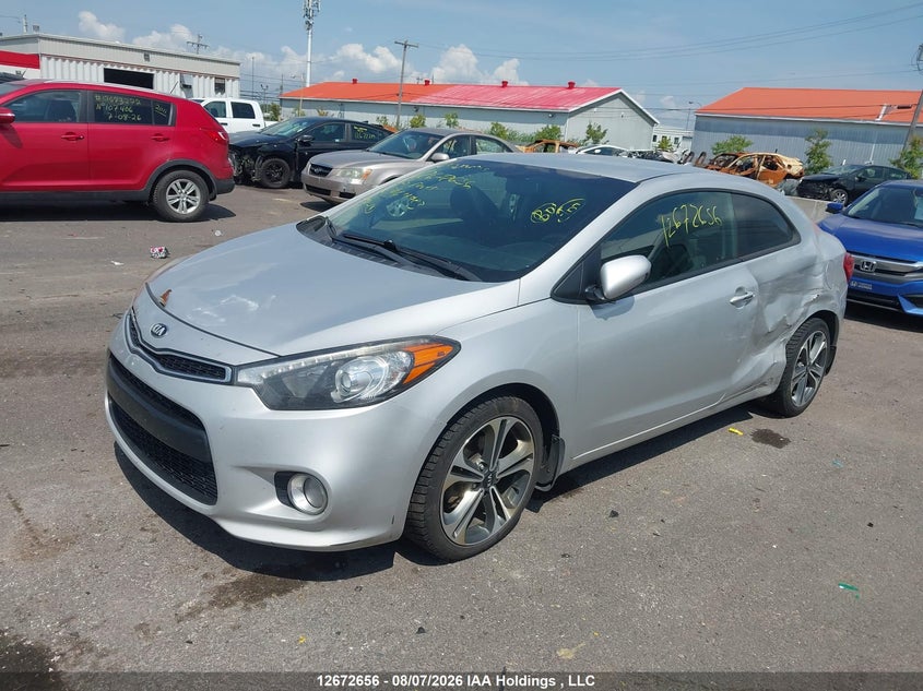 2016 Kia Forte, Левый бок, IAAI, VIN KNAFX6A84G5464903 — фото 2