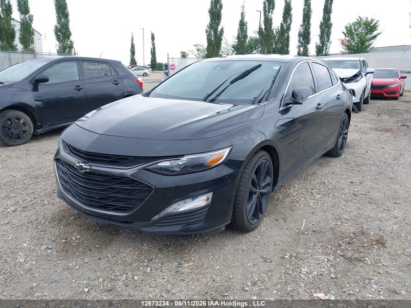 2024 Chevrolet Malibu Fwd 1Lt, Rear, IAAI, VIN 1G1ZD5ST2RF229881 — photo 2